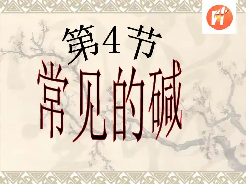 浙教版初中科学九上1.4《常见的碱》(共28张PPT)