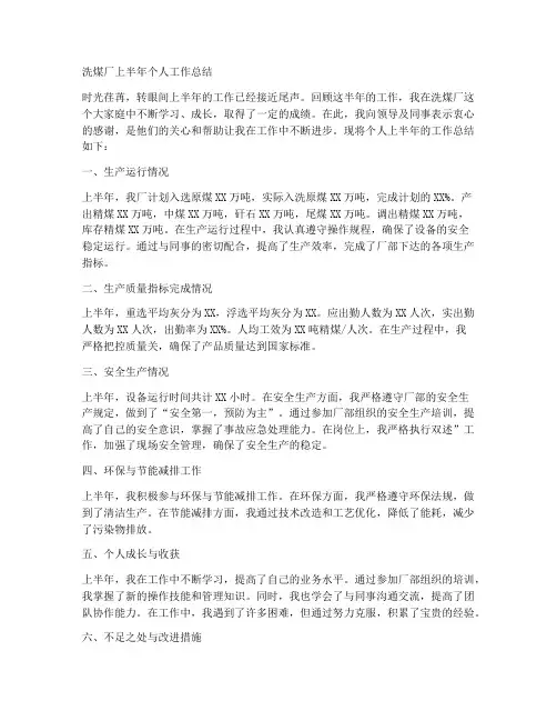洗煤厂上半年个人工作总结