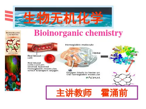 生物无机化学ppt课件