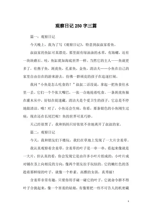 观察日记250字三篇