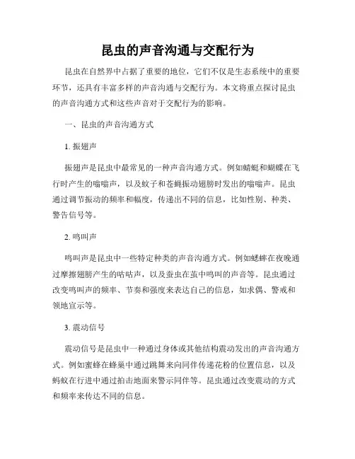 昆虫的声音沟通与交配行为