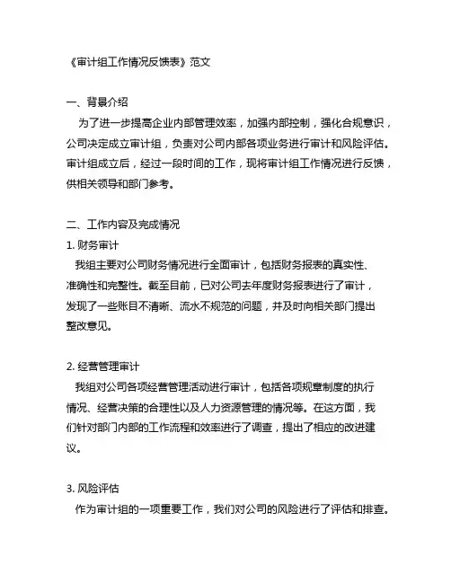 《审计组工作情况反馈表》范文