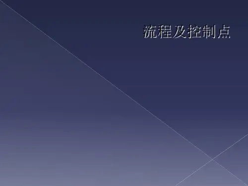 流程及控制点
