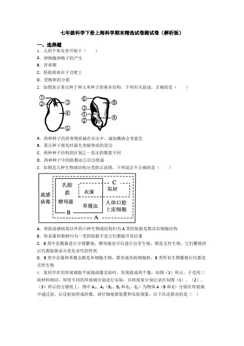 七年级科学下册上海科学期末精选试卷测试卷(解析版)