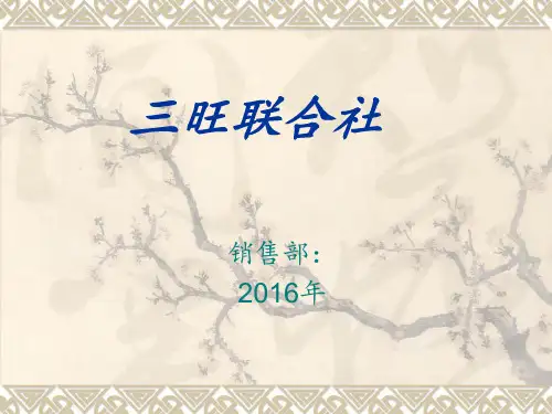 农资市场策划营销 ppt课件