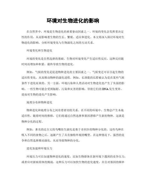 环境对生物进化的影响
