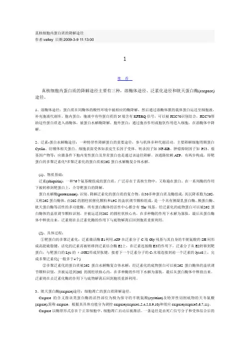 真核细胞内蛋白质的降解途径