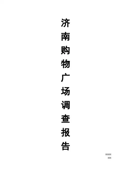 济南购物广场调查报告