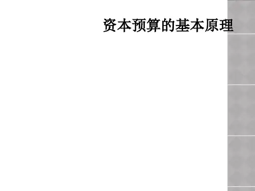 资本预算的基本原理