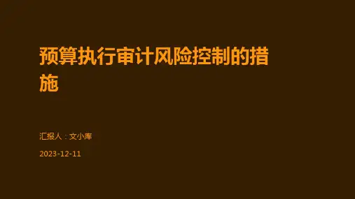 预算执行审计风险控制的措施