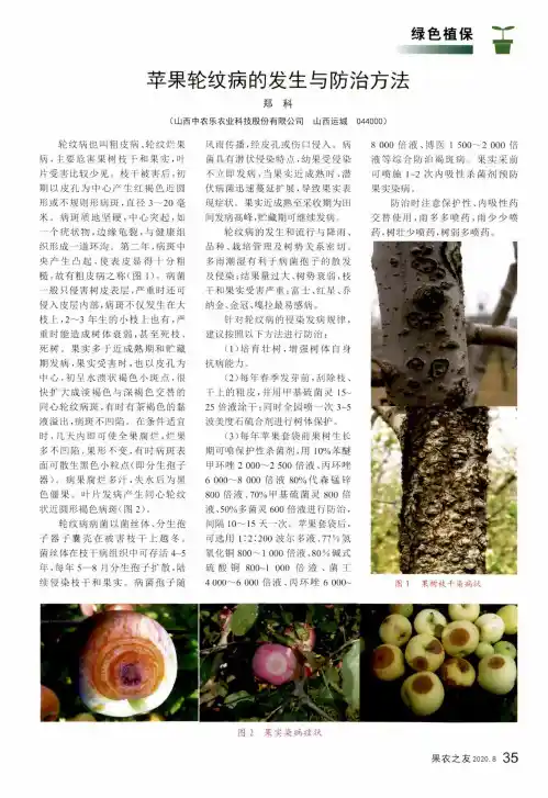 苹果轮纹病的发生与防治方法