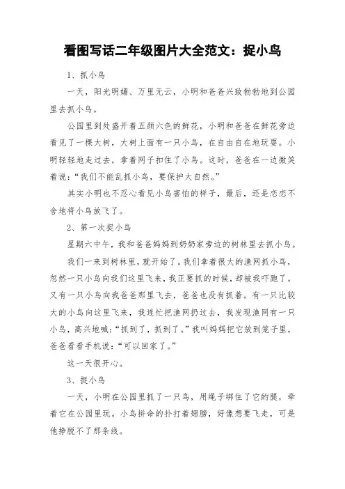 看图写话二年级图片大全范文：捉小鸟_作文