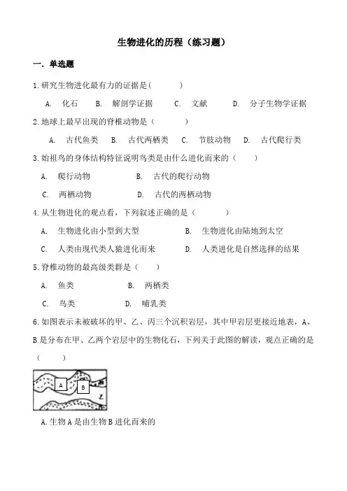 人教版八年级下生物7.3.2生物进化的历程练习试题