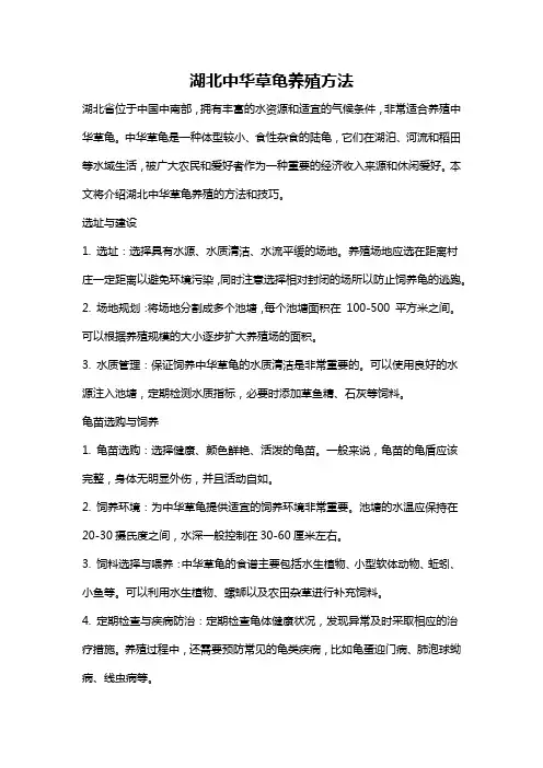 湖北中华草龟养殖方法