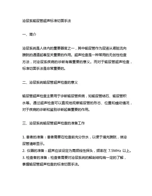 泌尿系输尿管超声标准切面手法