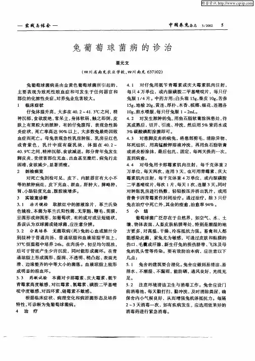 兔葡萄球菌病的诊治