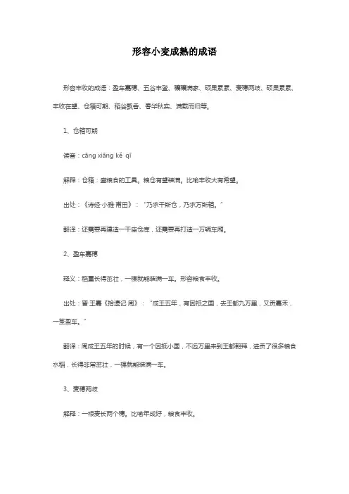形容小麦成熟的成语