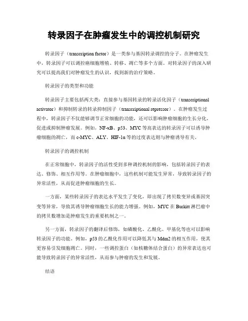 转录因子在肿瘤发生中的调控机制研究