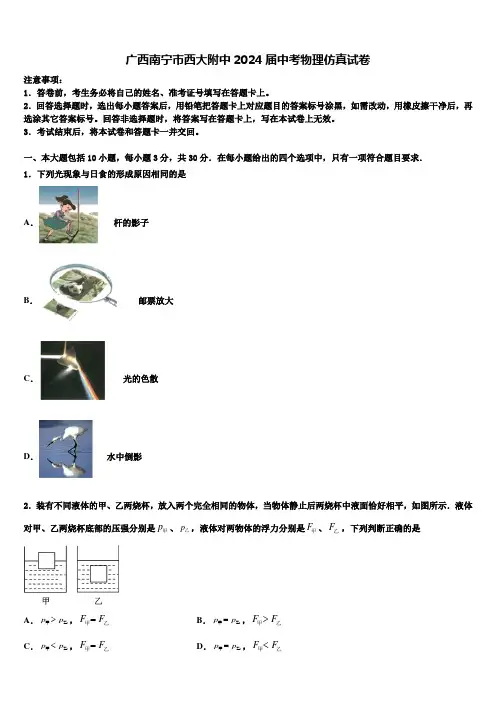 广西南宁市西大附中2024届中考物理仿真试卷含解析