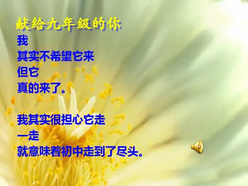 九年级毕业班励志班会ppt课件