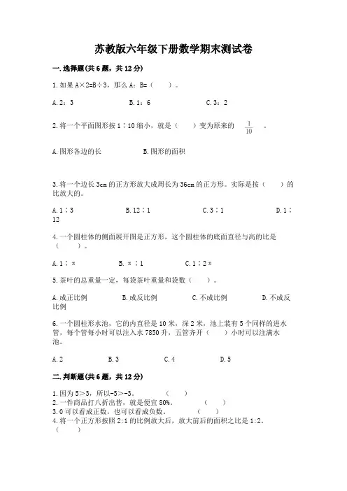 苏教版六年级下册数学期末测试卷加答案(有一套)