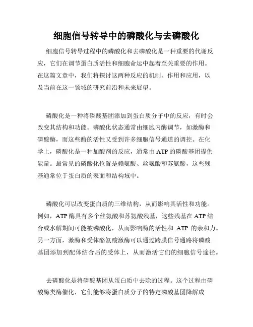 细胞信号转导中的磷酸化与去磷酸化