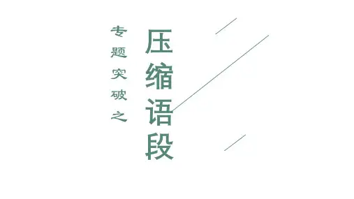高考复习压缩语段专题PPT(23张)