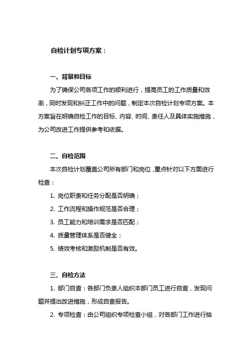 自检计划专项方案