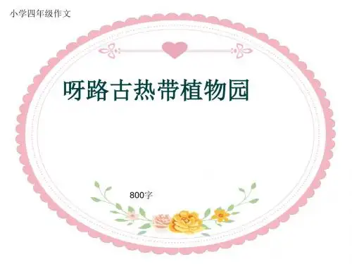 小学四年级作文《呀路古热带植物园》800字(共10页PPT)