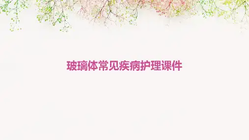 玻璃体常见疾病护理课件