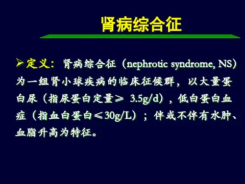 肾病综合征.ppt