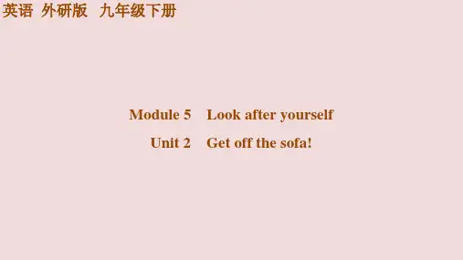 Module+5++Unit+2 Ge+sofa!+课件+2023-2024学年外研版英语九年级下册