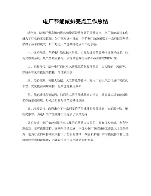 电厂节能减排亮点工作总结