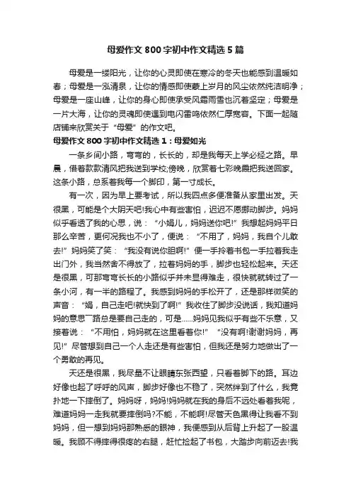 母爱作文800字初中作文精选5篇