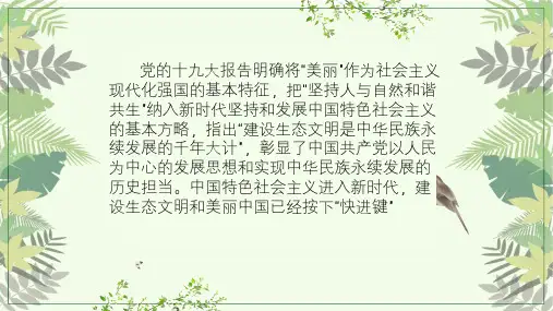 坚持人与自然和谐共生ppt课件