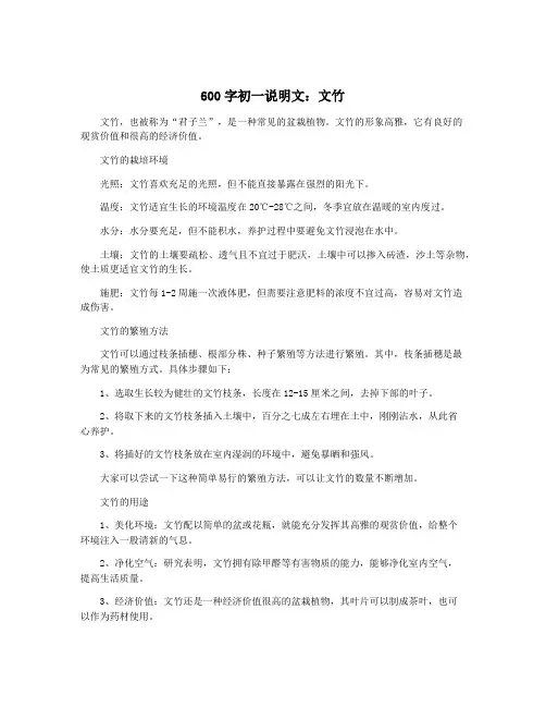 600字初一说明文：文竹