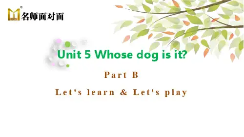 英语PEP五年级下册Unit5Whose dog is it  PartB Let’s learn