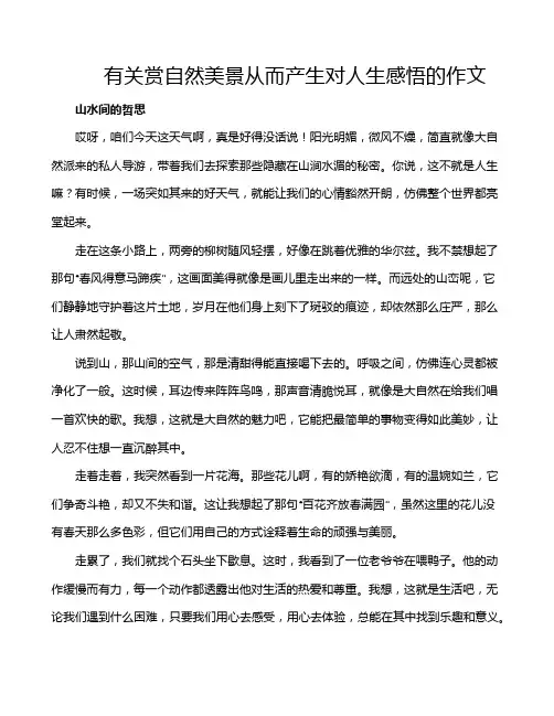 有关赏自然美景从而产生对人生感悟的作文