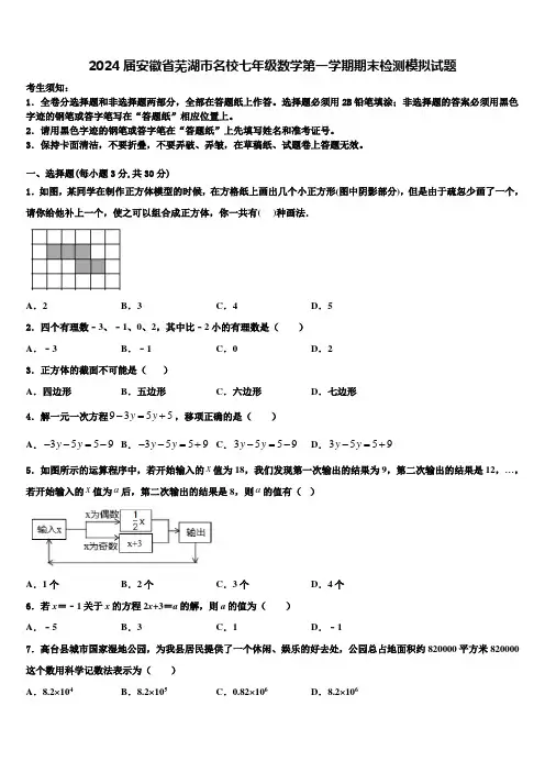 2024届安徽省芜湖市名校七年级数学第一学期期末检测模拟试题含解析