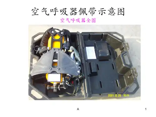 空气呼吸器佩带示意图ppt课件