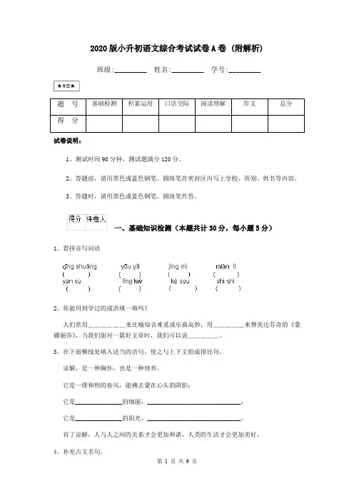 2020版小升初语文综合考试试卷A卷 (附解析)
