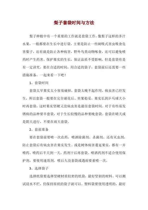 梨子套袋时间与方法