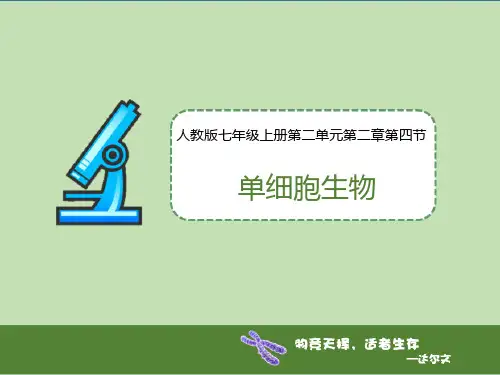 人教版七年级生物上册 单细胞生物 新课件