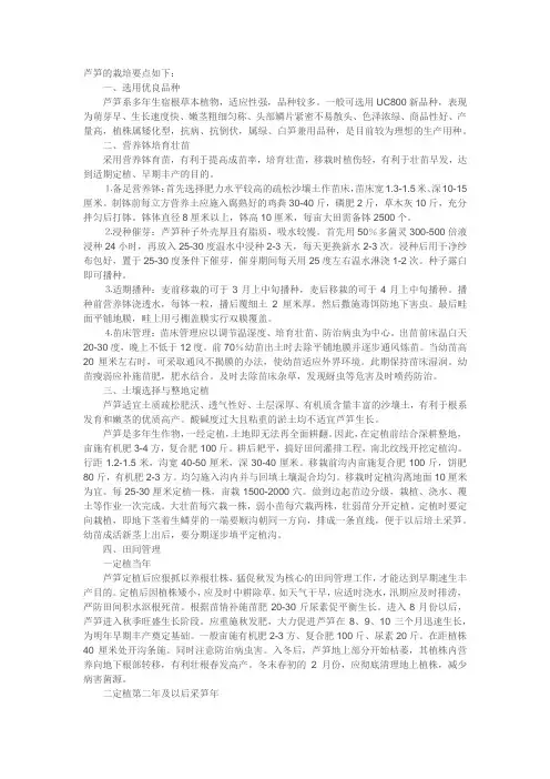 芦笋的栽培要点