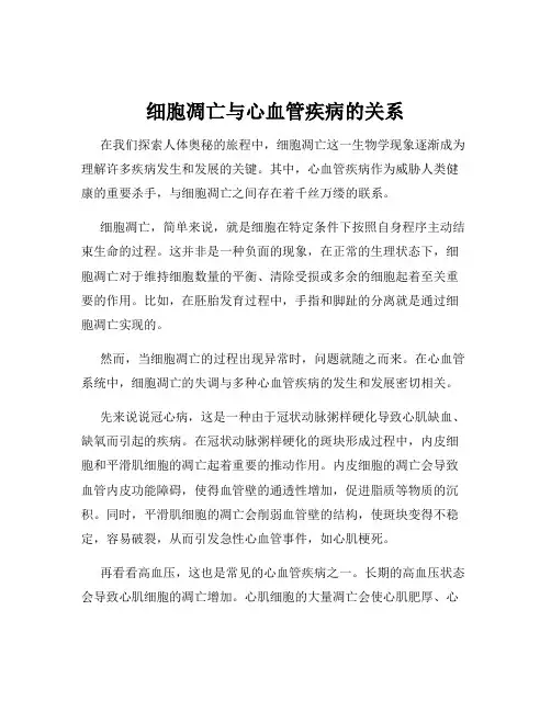细胞凋亡与心血管疾病的关系
