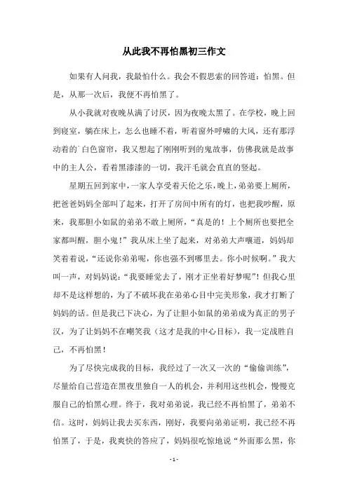 从此我不再怕黑初三作文