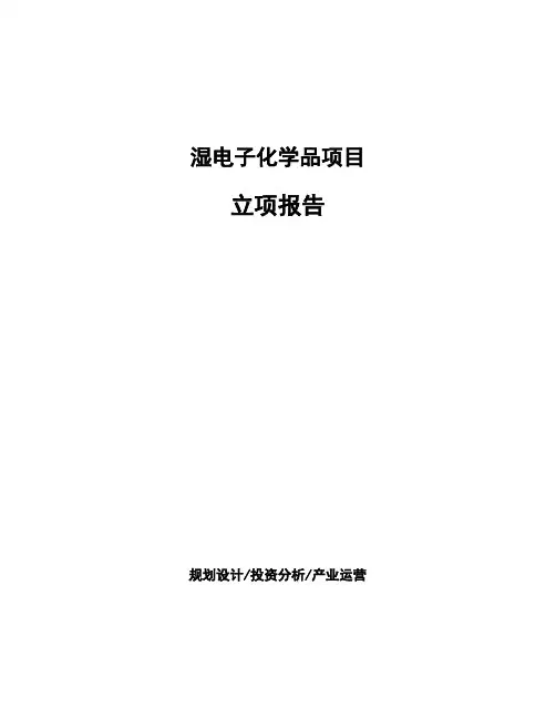 湿电子化学品项目立项报告