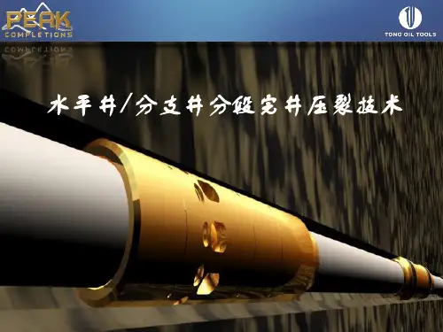 水平井分段压裂演示