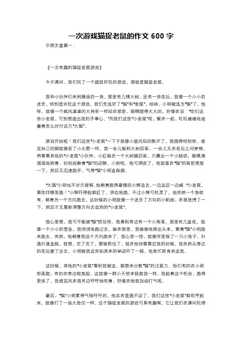 一次游戏猫捉老鼠的作文600字