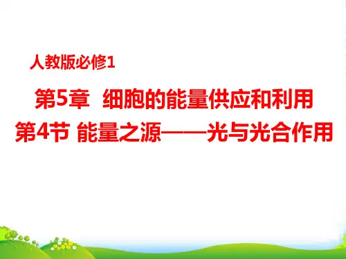 人教版高中生物必修一课件：5.4能量之源——光与光合作用 (共13张PPT)